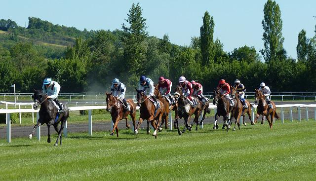 ippodromo Paolo VI