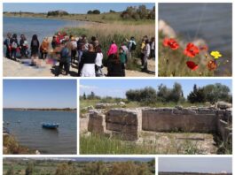 Taranto natura storia